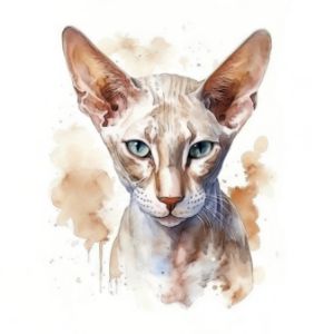 Peterbald Cat Portrait Watercolor - Frank095