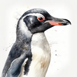 Penguin Animal Portrait Watercolor - Frank095