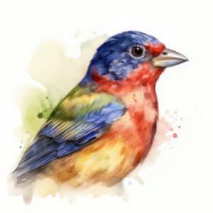 Painted Bunting Bird Watercolor - Frank095