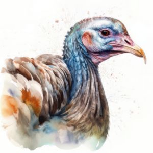 Turkey Bird Portrait Watercolor - Frank095