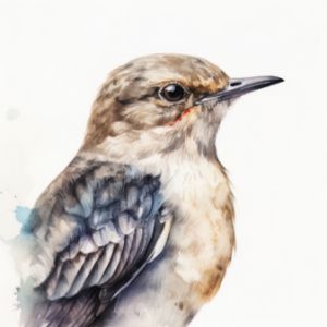 Swift Bird Portrait Watercolor Paint - Frank095