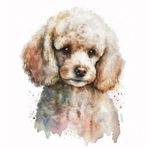 Poodle Dog Portrait Watercolor - Frank095