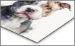 Metal Print