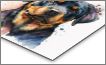 Metal Print