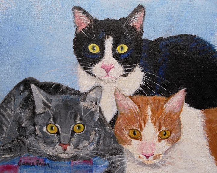 Three Amigos - Vivid Perceptions by Jamie Frier