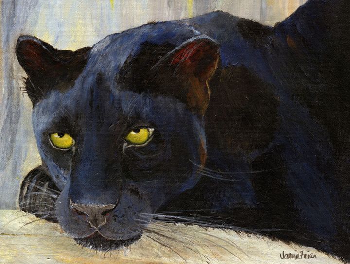 Black Cat - Vivid Perceptions by Jamie Frier