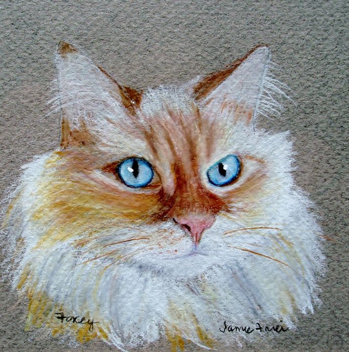 Foxey - Vivid Perceptions by Jamie Frier