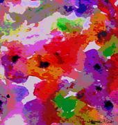 Vivid Perceptions by Jamie Frier