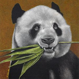 Panda home - Todo Deco - Digital Art, Animals, Birds, & Fish, Bears, Panda  - ArtPal