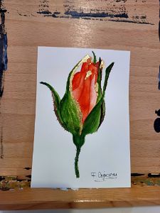Watercolor red rose