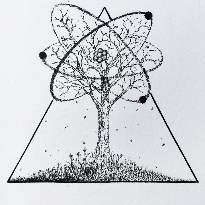 Tree Sketch Images  Free Download on Freepik
