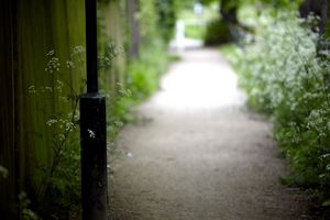 Path by Tooting Bec