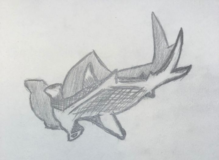 Hammerhead Shark Ink Art - ocean life design - Hammerhead Sharks