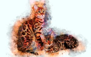 Two bengal cats