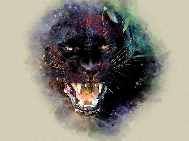 Black Panther - Art - Drawings & Illustration, Animals, Birds, & Fish, Wild  Cats, Panther - ArtPal