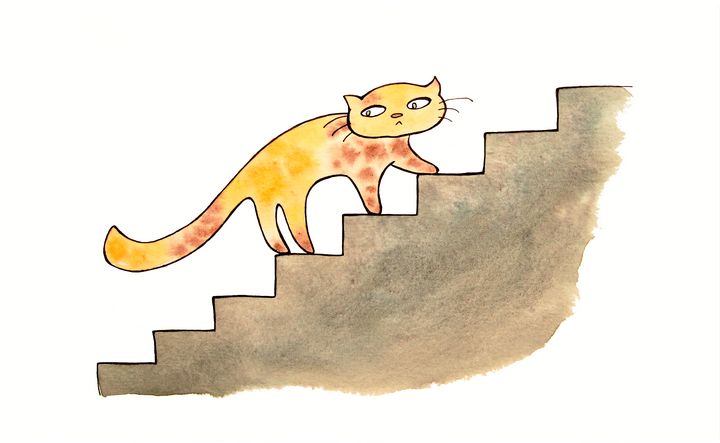 Stair cat clearance