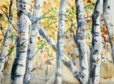 Original painting Birches in Fall