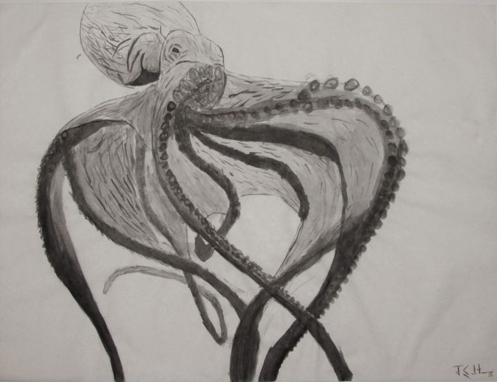 Octopus - The Hoffman Studio's