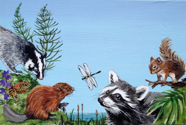 Baby Raccoon Discovers His World - Anne Traynor