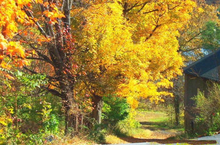 Sugar Loaf Village - Gioia - Photography, Landscapes & Nature, Villages