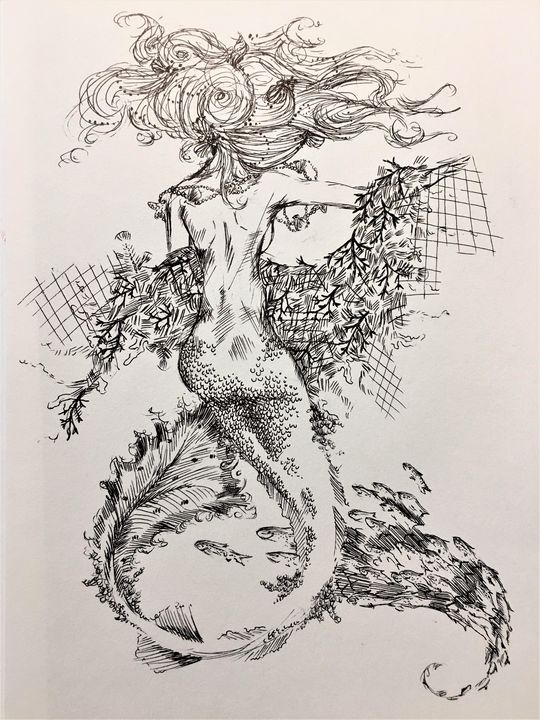 Mermaid's Trap - Creative Concepts