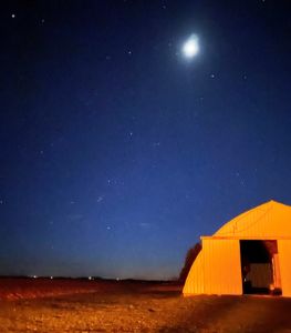 Elizabeth Olson - Drawings & Illustration, Photography