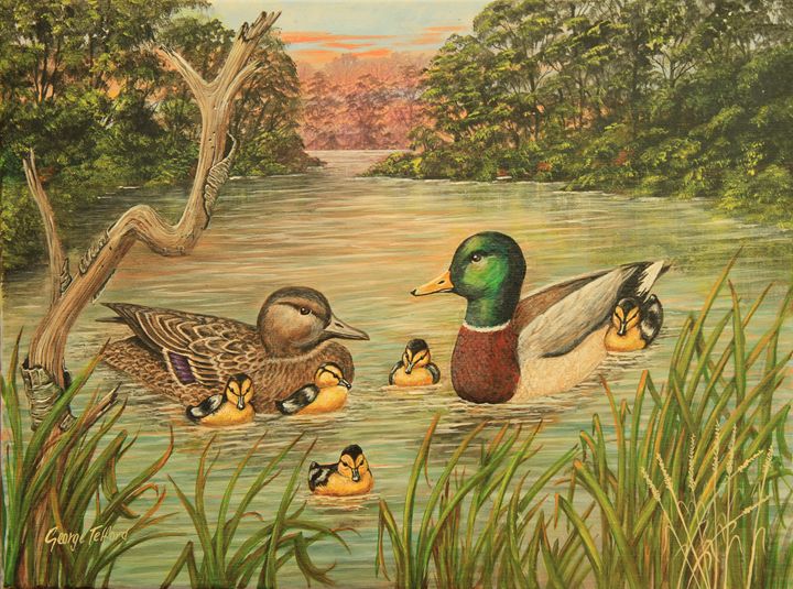 Meet the Mallards - george telford - Paintings & Prints, Animals, Birds ...