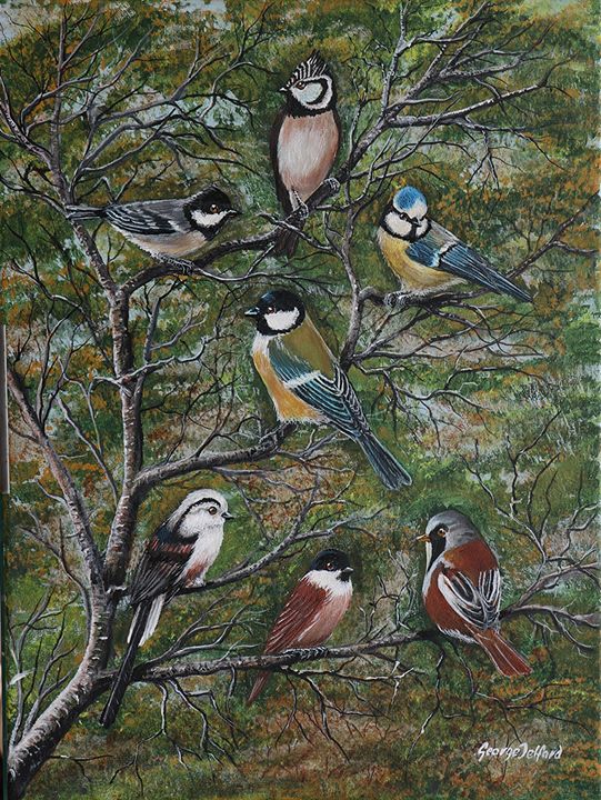 British tits - a painting of all 9 species of tits