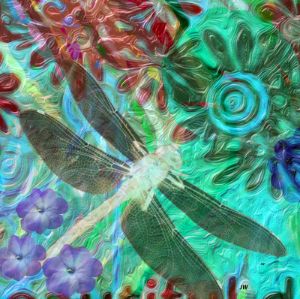 Dragonfly in the Garden