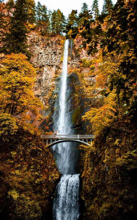 Fall at Multnomah Falls, Oregon - BarcStone Photography
