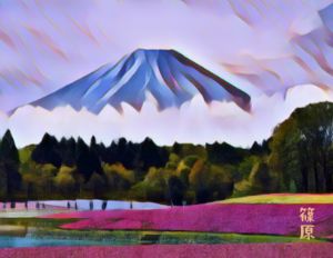 Mount Fuji View