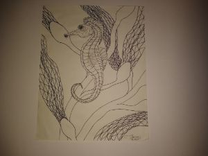 Sea Horse Sketch