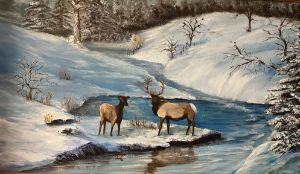 Winter Elk, Min Madsen