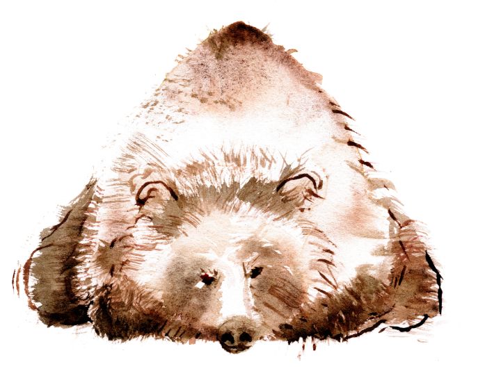 Mountain Bear - Grumpy Porcupine Art (Art W Healing Personalities)