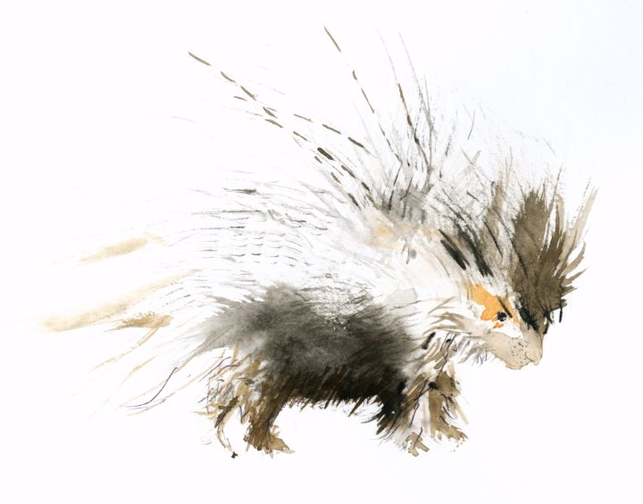 Grumpy Porcupine - Grumpy Porcupine Art (Art W Healing Personalities)