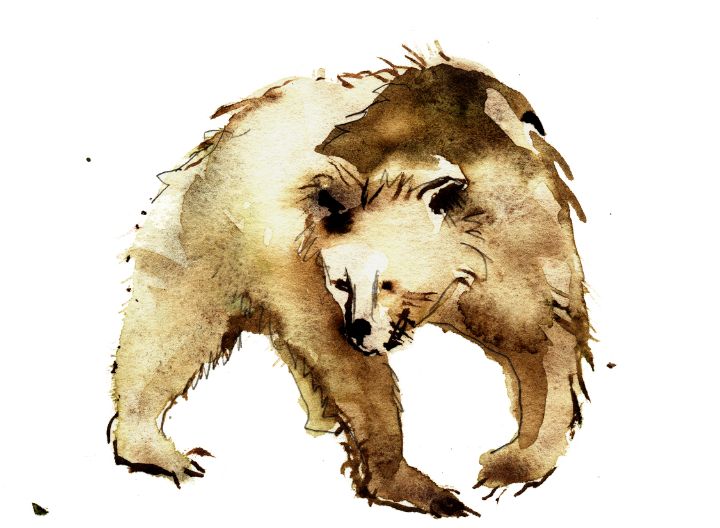 Brown Bear - Grumpy Porcupine Art (Art W Healing Personalities)