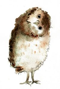 Elder Owl