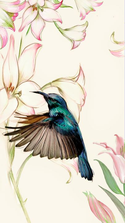 Pink Mandevilla and Blue Hummingbird - Phoenix Art Works - Digital Art ...