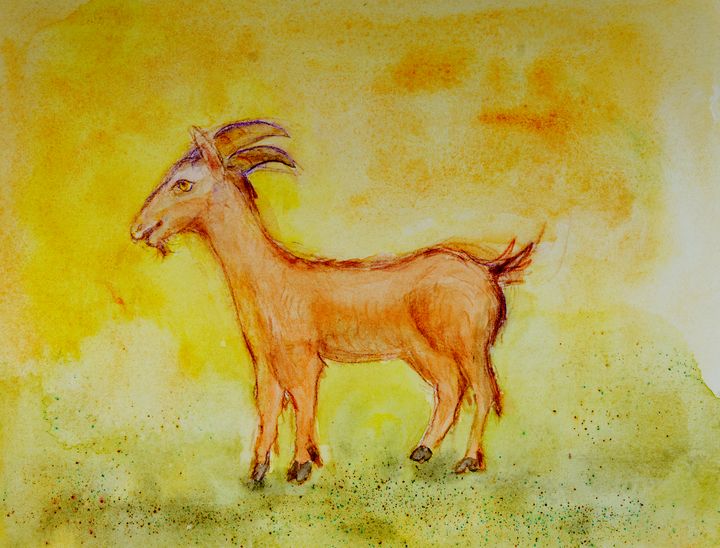 buy-goat-chinese-zodiac-signs-astrology-zodiac-religion