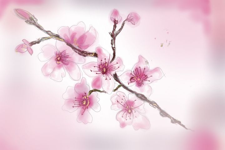 Cherry Blossom - Candy B - Digital Art & AI, Flowers, Plants