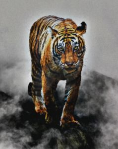 Emerald Tiger - Inked Up LLC - Paintings & Prints, Animals, Birds, & Fish,  Wild Cats, Tigers - ArtPal