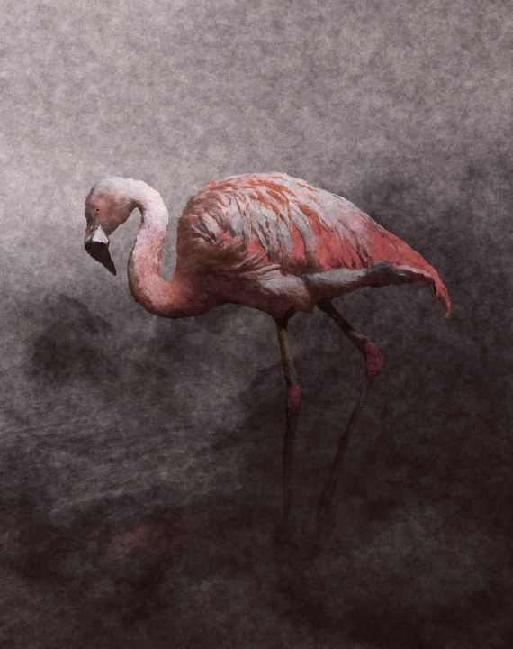 Flamingo in the Mist - Off the Page - Digital Art & AI, Animals, Birds ...