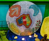 Flower of life/Original dream Mandala/Dot art/Lotus Mandala/Multi color  floral Mandala/Pointillism/Sacred geometric wall art/Canvas Painting  Painting by Dreams Made of Dots Pointillism Mandalas and Dotted Art