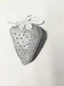Strawberry shade
