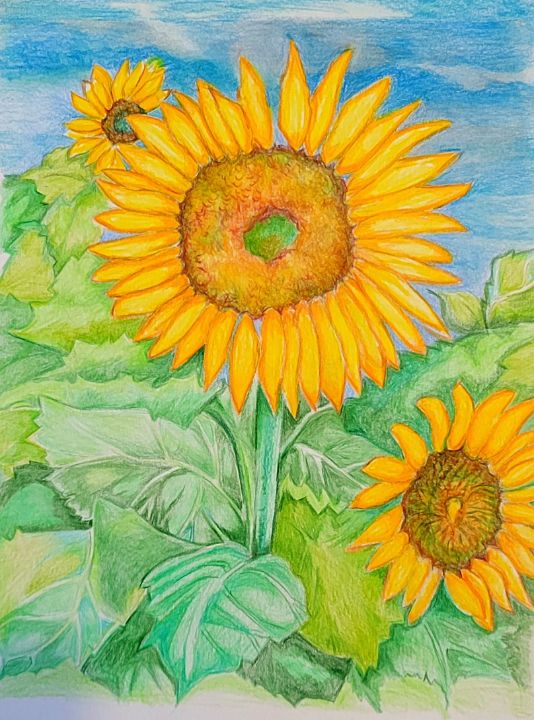 Sunflower Energy and Joy Art - Jan Campbell Fine Art - Drawings ...