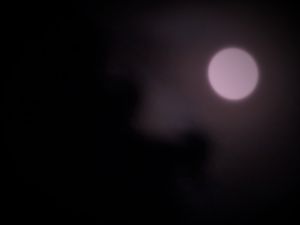 Full opaque moon on a dark night