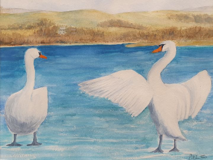 Swan Friends - Art of the Scottish Gran