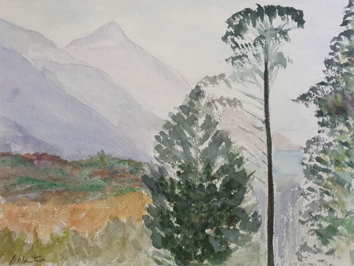 Misty Highland Hill - Art of the Scottish Gran
