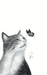 Squirrelflight (Warrior Cats) - Dandelions Art - Digital Art, Animals,  Birds, & Fish, Cats & Kittens, Non-Pedigreed Cats, Tabby & White Cat -  ArtPal