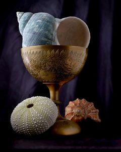 Chalice with Seashells - John Manno